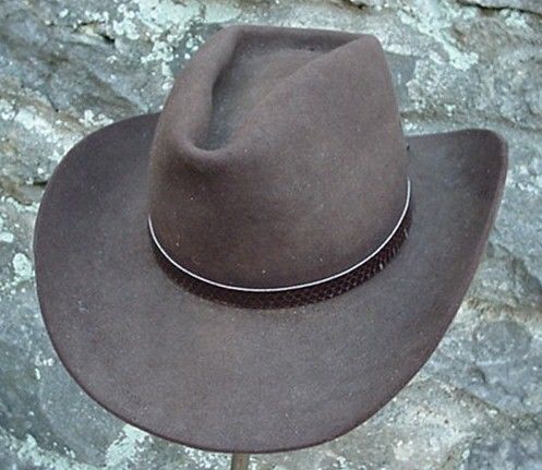 WESTERN HATBAND Hat Band BROWN SNAKE SKIN W TIES NEW  