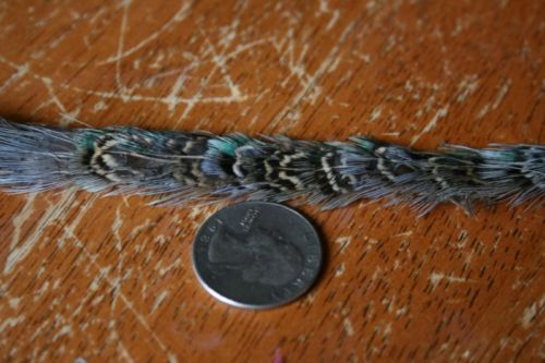 yards feather trim pheasant blue green 1/2 inch wide  